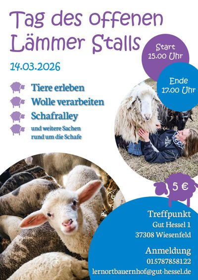 Einladungsflyer Tag des offenen Lämmer Stalls