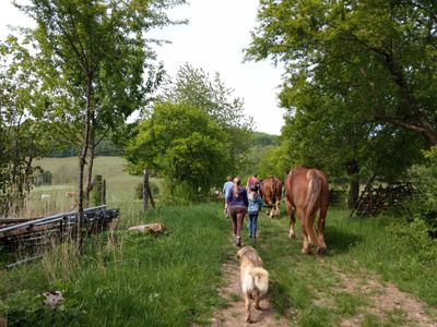 Menschen und Pferd