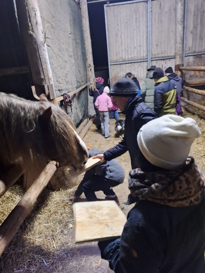 Menschen im Stall
