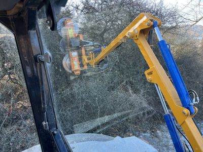 Mulcher schneidet Hecke