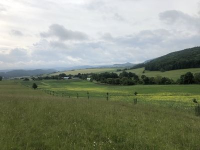 Baumreihe