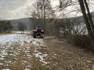 Mulcher schneidet Hecke am Boden